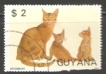 Sellos de America - Guyana -  Abyssinian