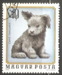 Stamps Hungary -  Canis Familiaris