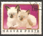 Stamps Hungary -  Felis Domestica