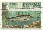 Stamps Spain -  FAUNA HISPÁNICA. TRUCHA COMÚN. Salmo trutta. EDIFIL 2404