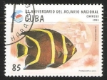 Sellos de America - Cuba -  35 Aniversario del acuario nacional