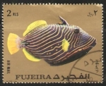 Stamps United Arab Emirates -  Balistapus undulatus