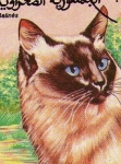 Stamps : Oceania : Samoa :  Gato