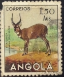 Sellos de Africa - Angola -  Sitatonga