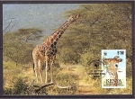 Sellos de Africa - Kenya -  WWF