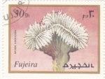 Sellos del Mundo : Asia : United_Arab_Emirates : flores-FUJEIRA