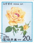 Stamps North Korea -  flores rosa amarlla