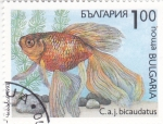 Sellos del Mundo : Europe : Bulgaria : pez- bicaudatus