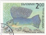 Sellos del Mundo : Europe : Bulgaria : pez- Mollienesia velifera