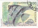 Sellos del Mundo : Europe : Bulgaria : pez-Pterophyllum eimekei