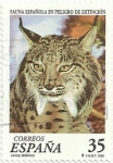 Stamps Spain -  FAUNA ESPAÑOLA EN PELIGRO DE EXTINCIÓN. LINCE IBÉRICO, Lynx pardinus. EDIFIL 3529