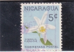 Stamps Nicaragua -  flores- sobralia