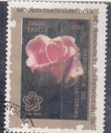 Sellos de Africa - Guinea Ecuatorial -  flores-