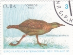 Stamps Cuba -  ave- galliralfus australis