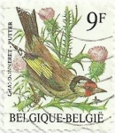 Stamps Belgium -  PÁJAROS. JILGUERO EUROPEO. Carduelis carduelis. YVERT BE 2187