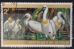 Sellos de Africa - Senegal -  Platalea Alba