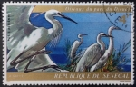 Stamps Senegal -  Garzetas