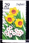 Stamps United States -  flores- narciso