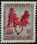 Stamps South Africa -  Árbol coralino costero