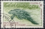 Stamps Ivory Coast -  Manatí africano