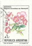 Sellos del Mundo : America : Argentina : FLORES. Begonia micranthera var. Hieronymi. YVERT AR 1480