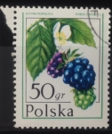 Stamps Poland -  Mora