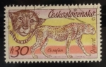 Sellos de Europa - Checoslovaquia -  Leopardo