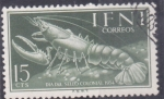 Stamps Morocco -  dia del sello colonial- crustaceo