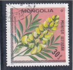 Sellos de Asia - Mongolia -  flores-sophora alopecuroides