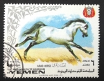 Sellos de Asia - Yemen -  Caballo Arabe