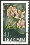 Stamps Romania -  Fritilaria montana