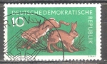 Stamps Germany -  Los animales del bosque,Liebre(DDR).