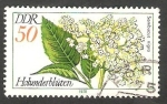 Stamps Germany -  1962 - Flor