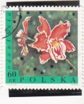 Sellos de Europa - Polonia -  flores- odontonia