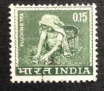 Stamps India -  Recogiendo Te