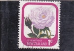 Stamps New Zealand -  rosa blanca