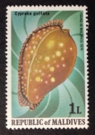 Stamps Maldives -  Caracol marino