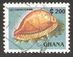 Stamps Ghana -  Leucodon cowrie