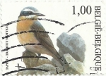 Stamps : Europe : Belgium :  SERIE PÁJAROS, DE ANDRÉ BUZIN. COLLALBA GRIS, Oenanthe oenanthe. YVERT BE 3132