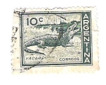 Sellos de America - Argentina -  1959 Yacare