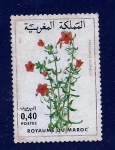 Stamps Morocco -   Flor