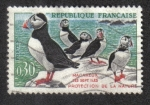 Sellos de Europa - Francia -  Atlantic Puffin (Fratercula arctica)