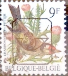 Stamps Belgium -  Intercambio 0,20 usd 9,00 fr. 1985