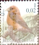 Stamps Belgium -  Intercambio 0,20 usd 1,00 fr. 2000