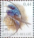 Stamps Belgium -  Intercambio 0,25 usd 44 cent. 2003