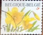 Stamps Belgium -  Intercambio 0,20 usd 17 fr. 2001