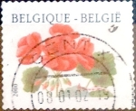 Stamps Belgium -  Intercambio 0,20 usd 17 fr. 1999