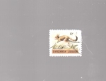 Stamps Tanzania -  canguro