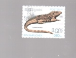 Stamps Cambodia -  iguana