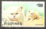 Stamps Philippines -  CHINCHILLA CAT